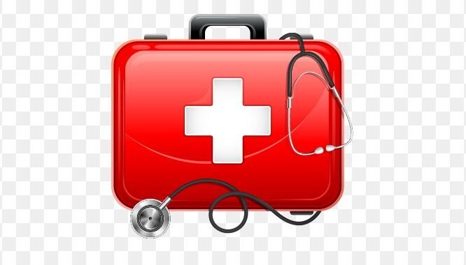 الصورة المصغرة للدورة