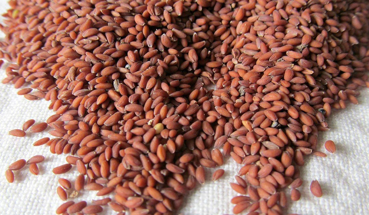 علاج سريع لالتهاب المفاصل بالاعشاب