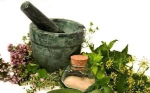 فوائد الأعشاب