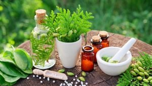 أماكن دورات طب الأعشاب في مصر