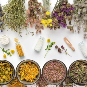 انطلاق دورة جديدة من دبلومة الطب البديل والأعشاب بأكاديمية challenge