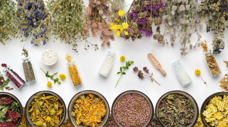 كليات طب الأعشاب