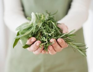 علاج عرق النسا بالأعشاب