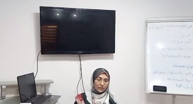 الصورة المصغرة للدورة