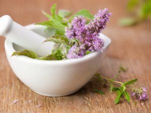 دراسة طب الأعشاب عن بعد