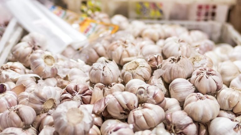 علاج ألم الأسنان بالأعشاب