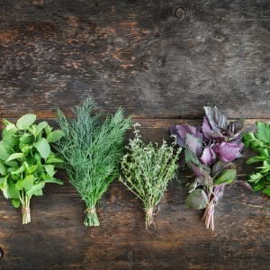 علاج الصداع بالأعشاب: لحاء الصفصاف والجنكة والزنجبيل