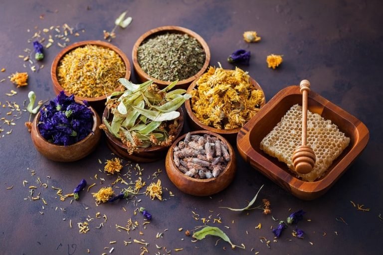 كورسات طب الأعشاب