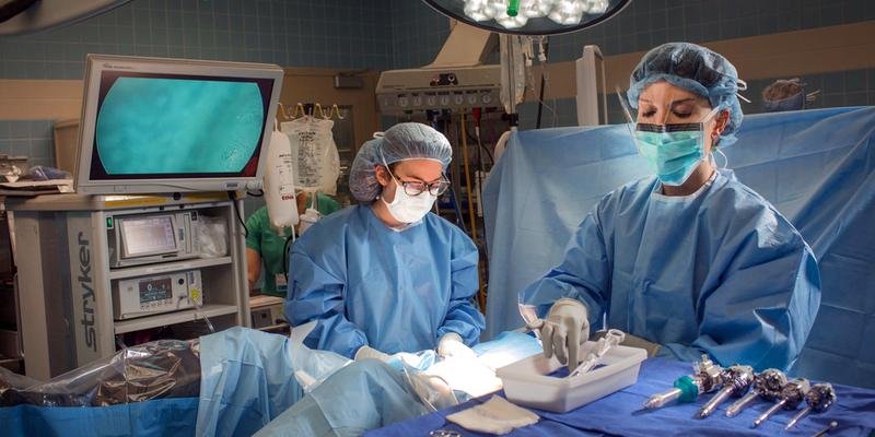 ما هو التجميل النسائي ما هو التجميل النسائي